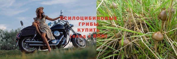 марихуана Армянск