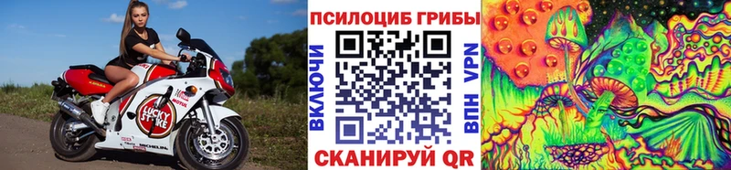 купить   Топки  Псилоцибиновые грибы Cubensis 